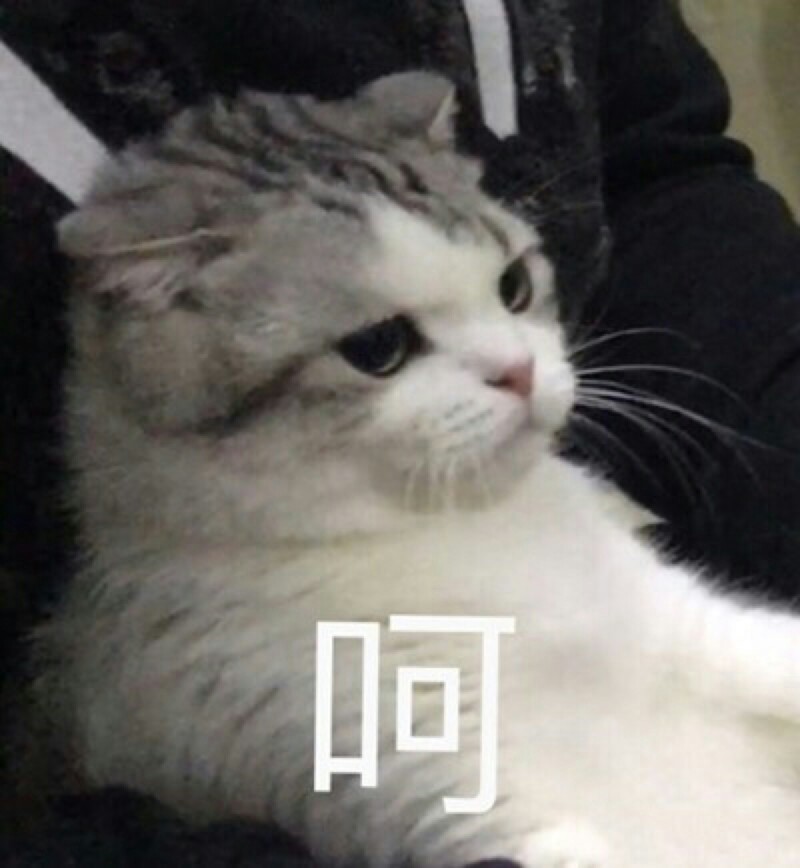 猫表情包可爱