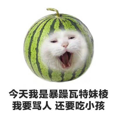 今天我是暴躁瓦特妹棱 我要骂人 还要吃小孩 0 5 mrnnn  发布到  配图