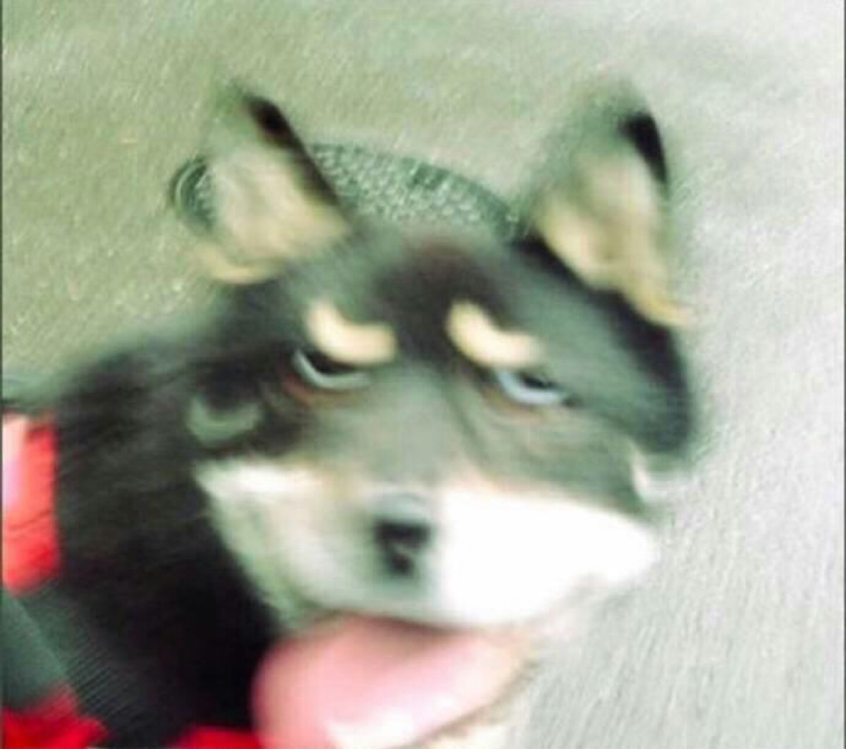 沙雕情头