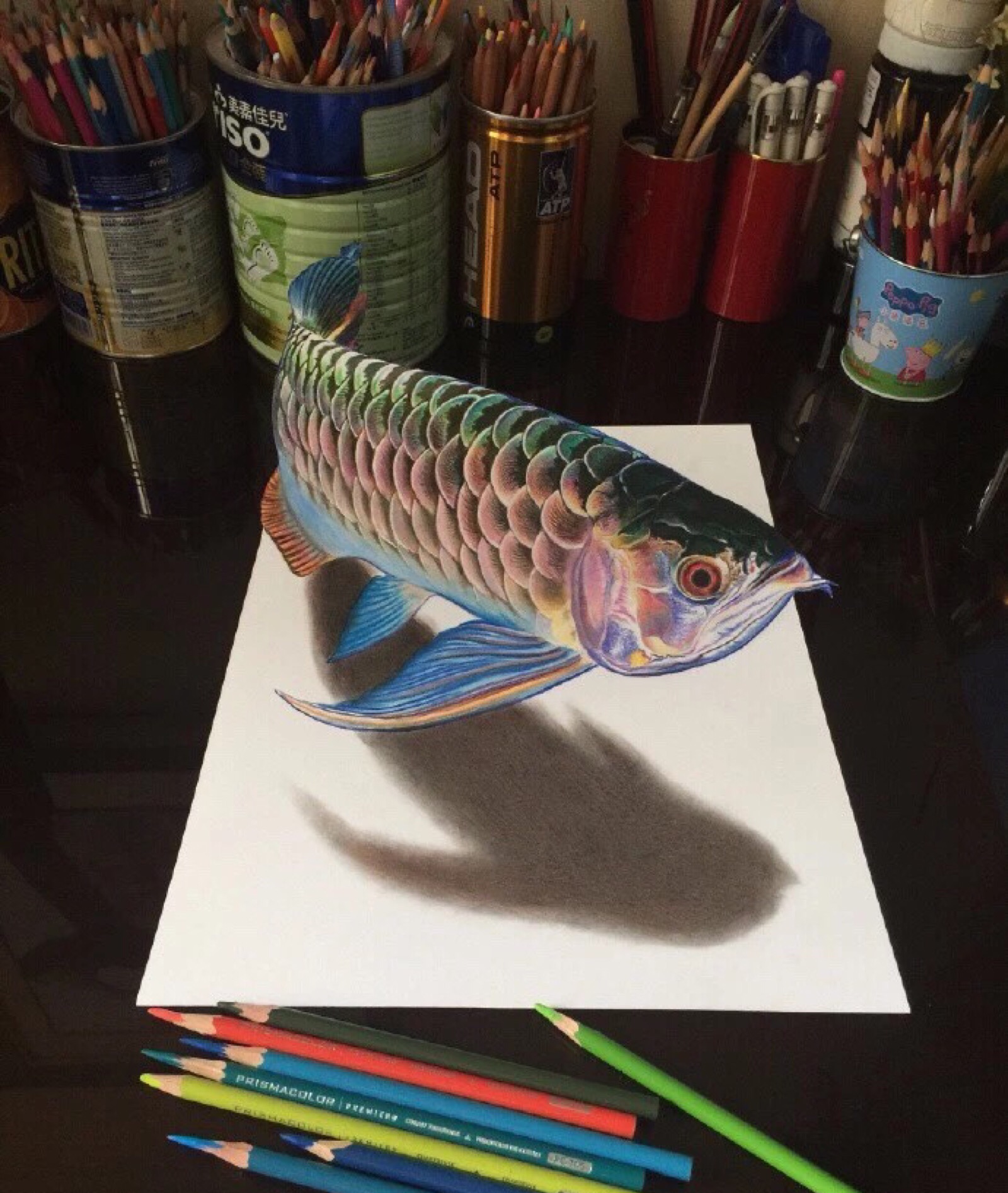 彩铅热带鱼图片