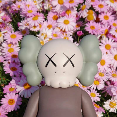 kaws: 