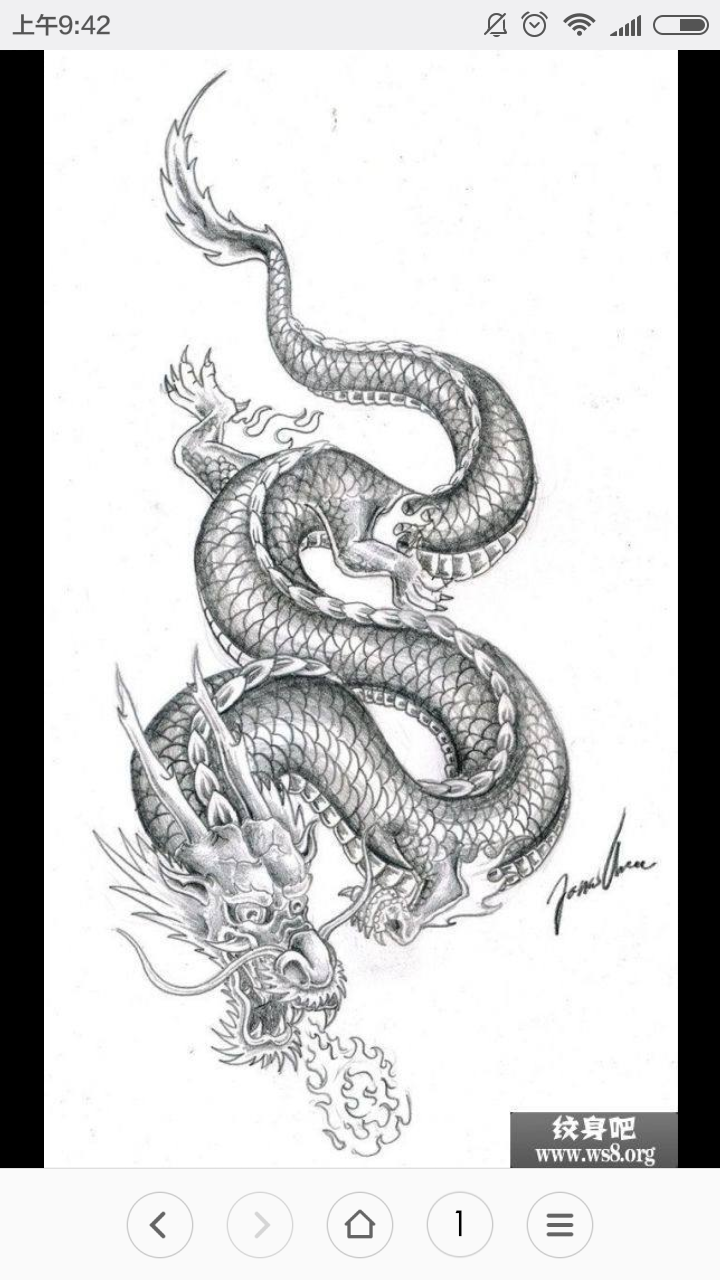 线描龙 