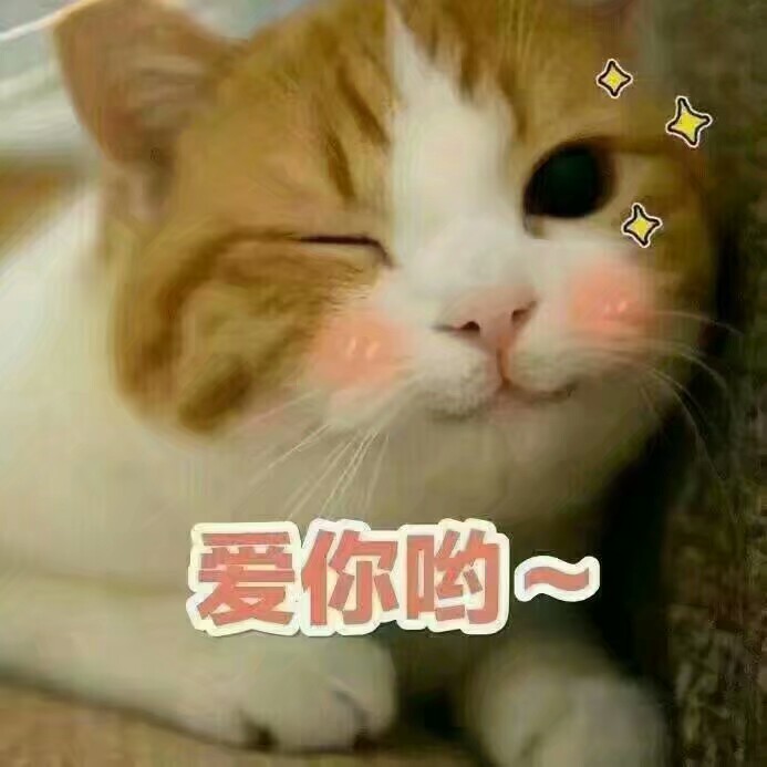 超级好看的表情包