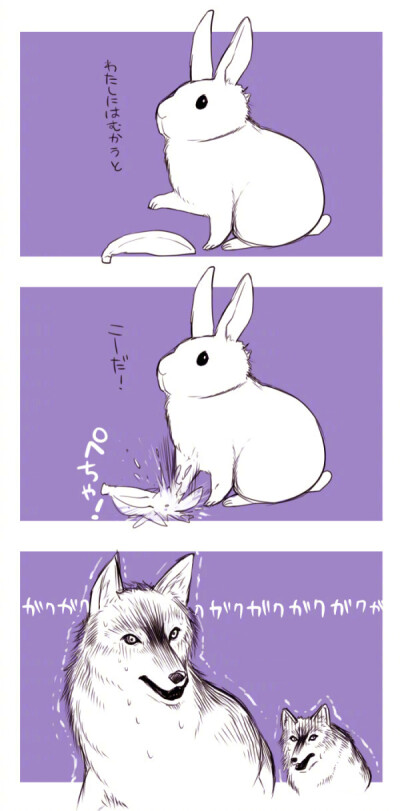 兔子与狼