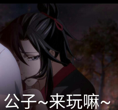 魔道祖师 魏无羡 表情包