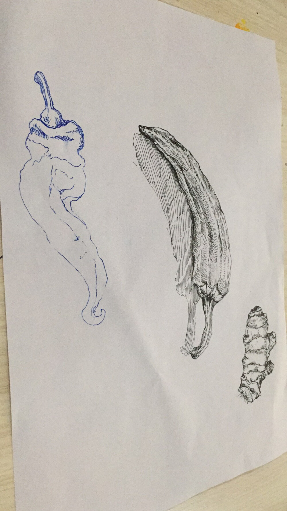 儿童画 写生 速写 线描 静物 蔬菜 水果 花卉 人物 水粉 油画棒 重彩