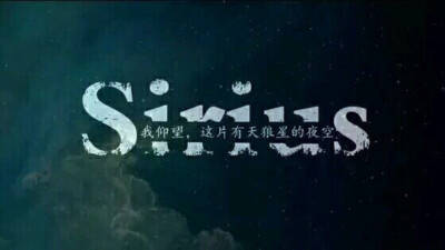 hp小天狼星·布莱克(西里斯·布莱克) sirius black