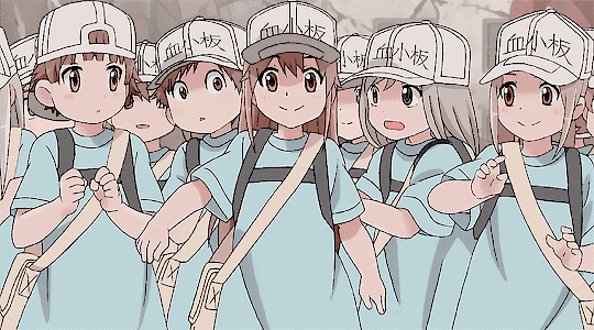 血小板 