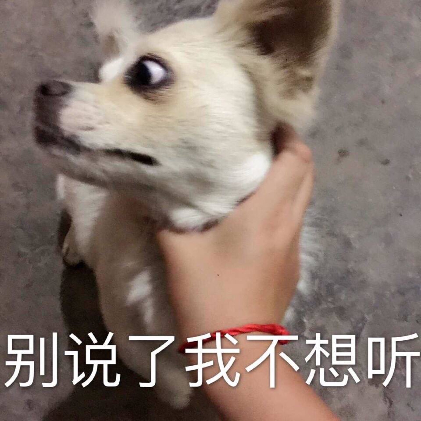 迷人小表情