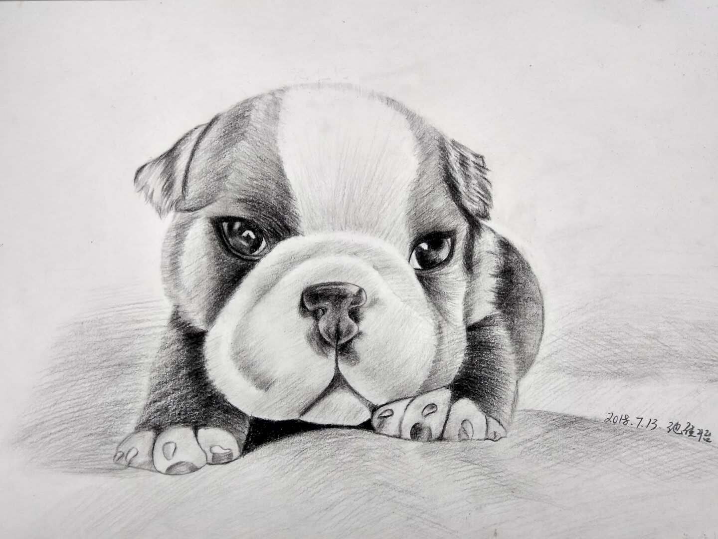 小狗绘画铅笔画图片