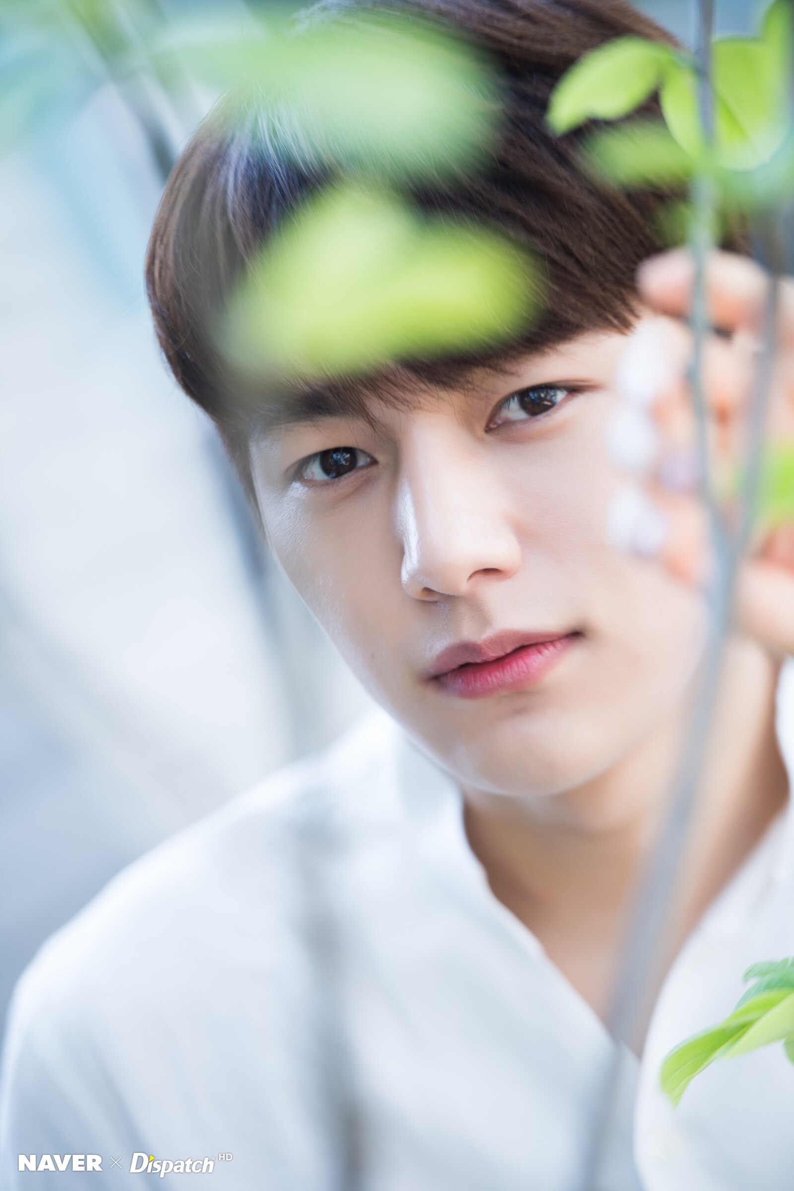 infinite 金明洙 l