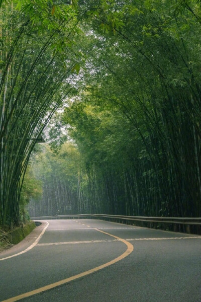 走啊