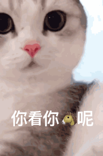 救救我 我快不行了 我是一只漏网之鱼 因上一批哥哥的网里鱼太多把我