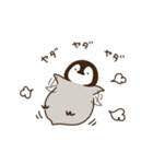 ぺんちゃん企鹅高清