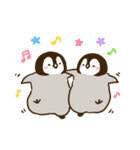 ぺんちゃん企鹅高清