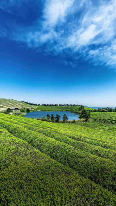 风景壁纸