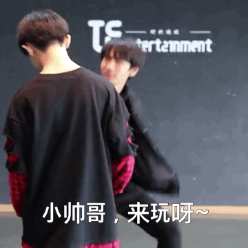 tf家族 表情包