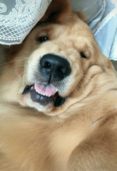 壮壮哥