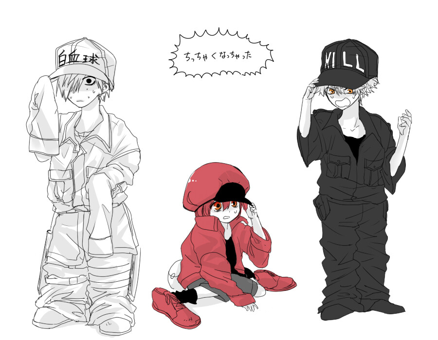 工作细胞红血球白血球血小板巨噬细胞杀手t细胞