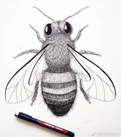 色彩线描儿童画