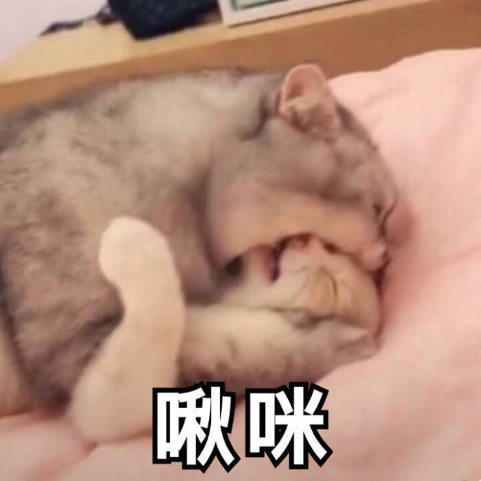 啾咪