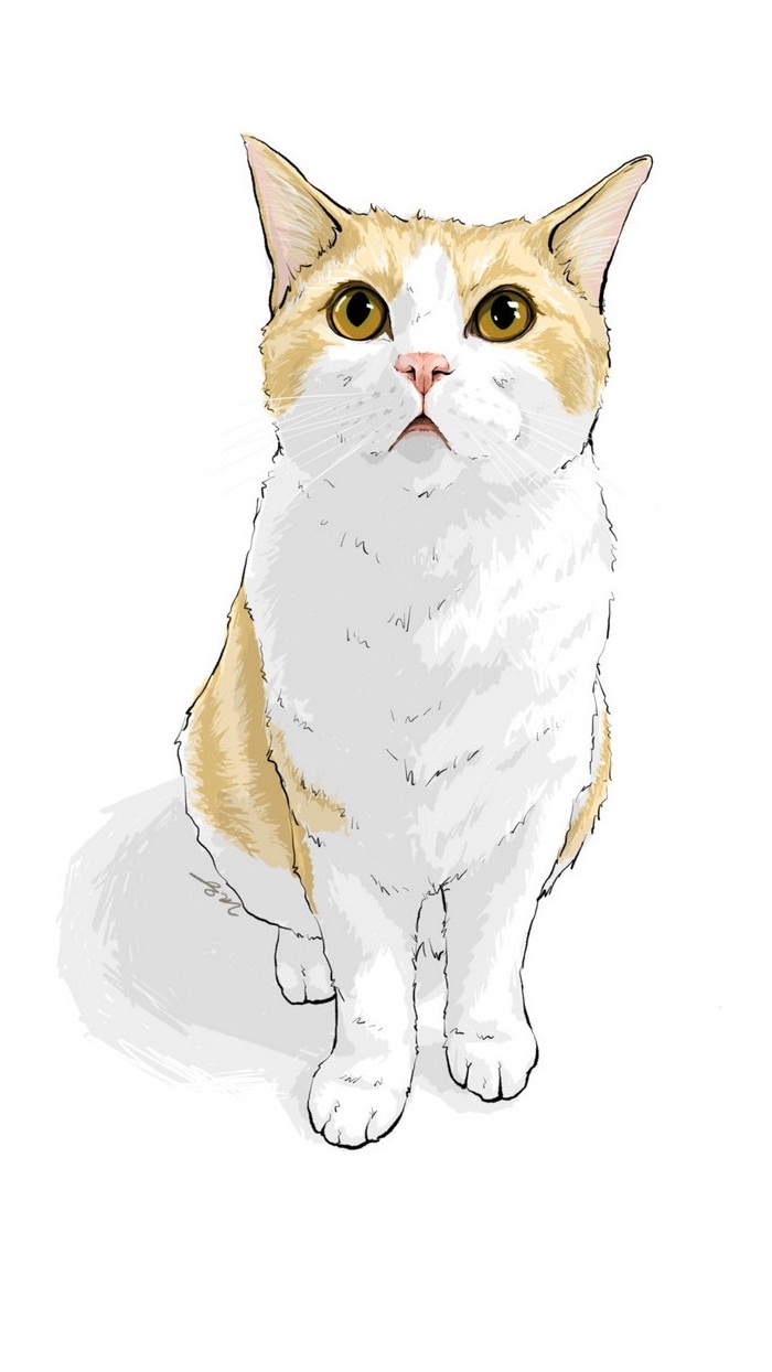 日系手绘猫咪插画简单图片