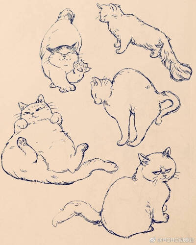 线稿猫咪