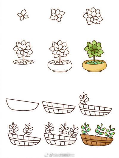 多肉植物超清泥土