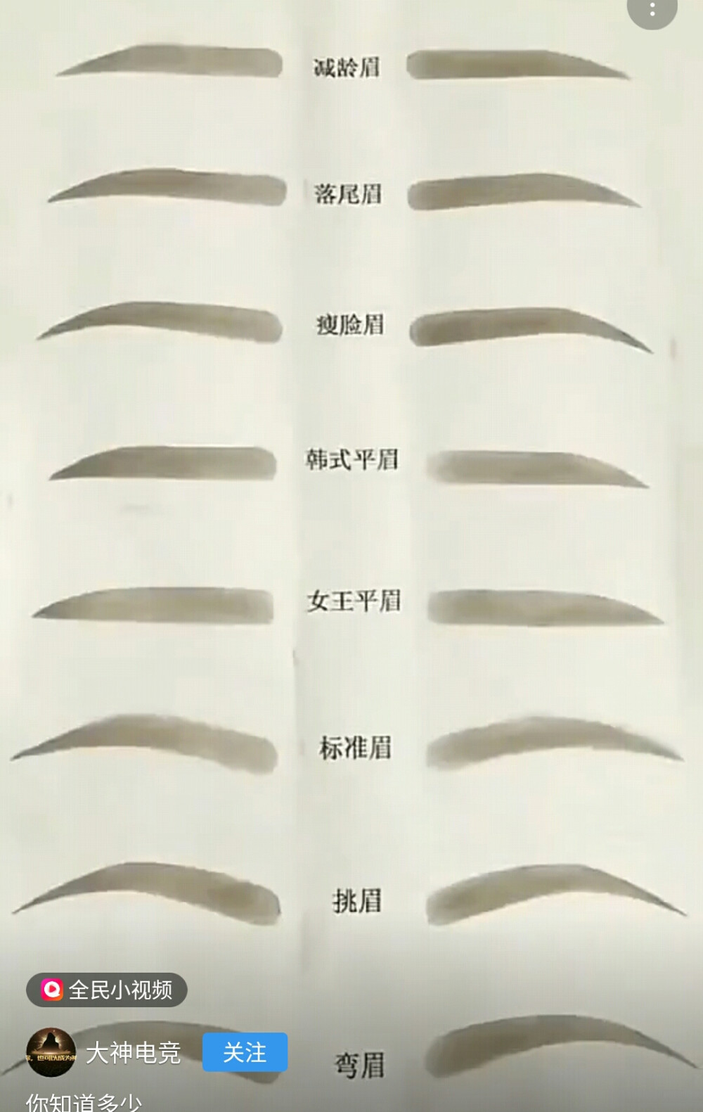 眉毛类型分类图片