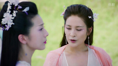 香蜜海棠长芳主