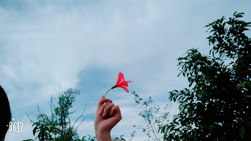 风景照 