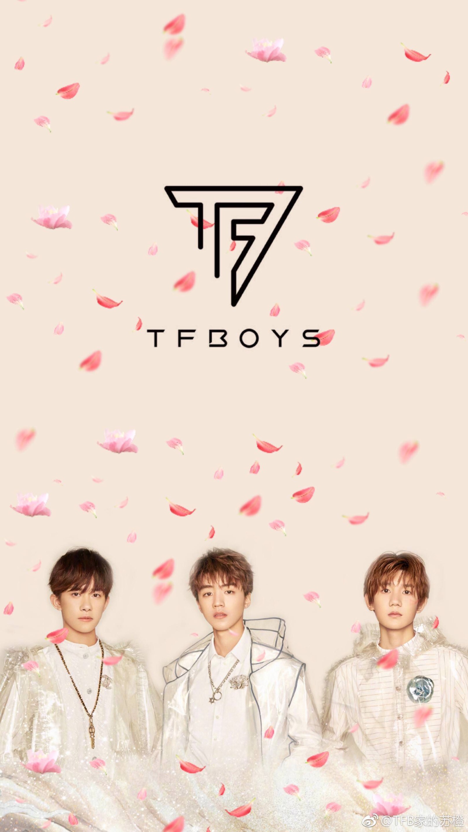 tfboys壁纸澄海图片