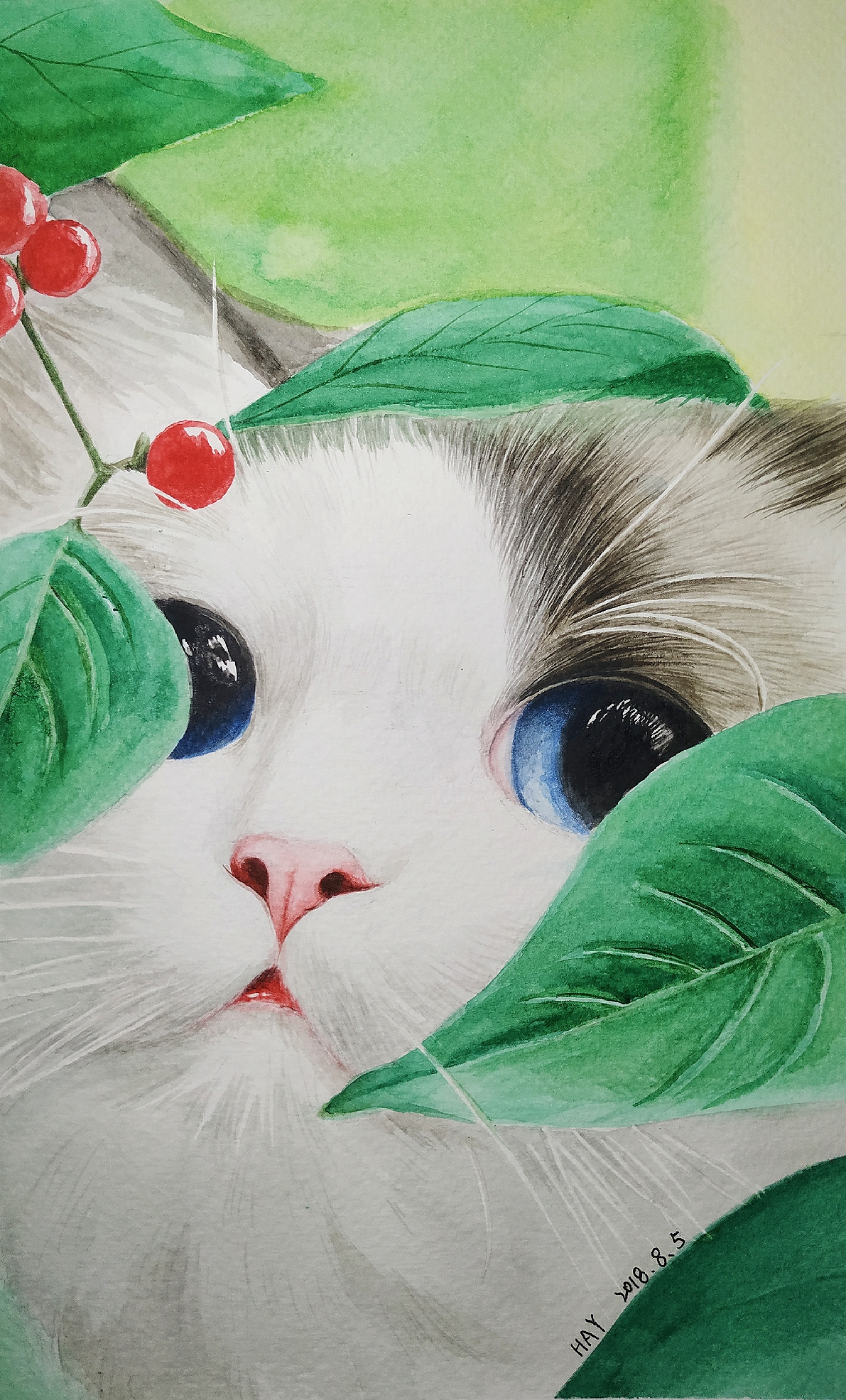 手绘水彩动物布偶猫