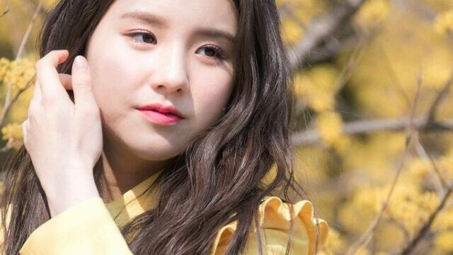 田姬振