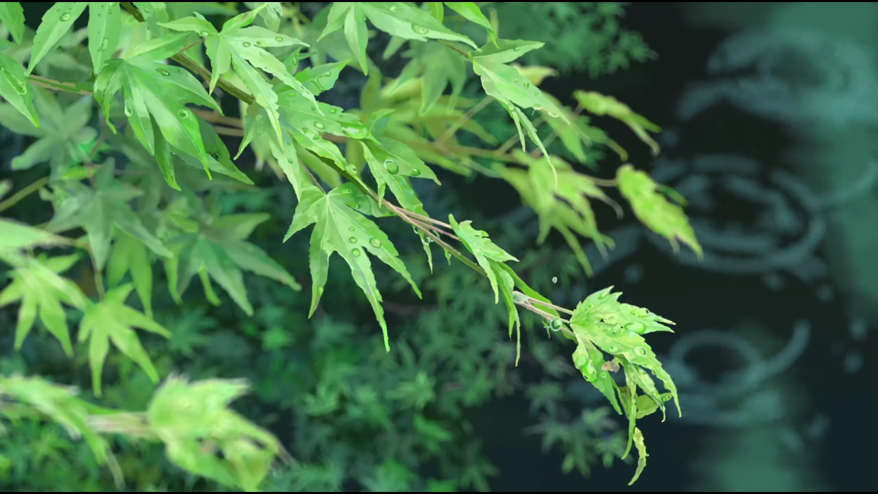 言叶之庭 - 堆糖,美图壁纸兴趣社区