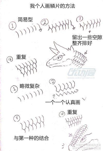 龙的绘画及教程