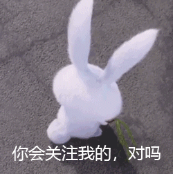 爱宠大机密表情包