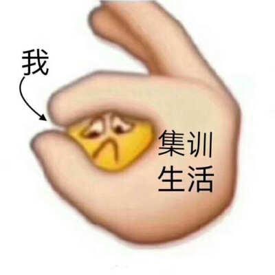 艺术生专用表情包图片