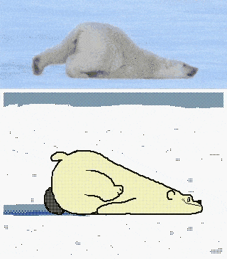 绿水桶北极熊表情包图片