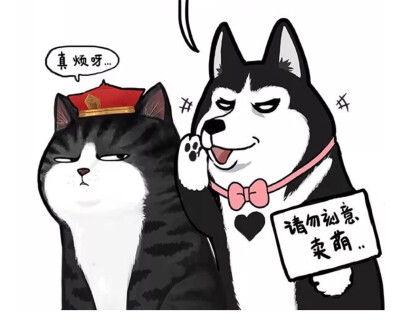 吾皇万睡头像