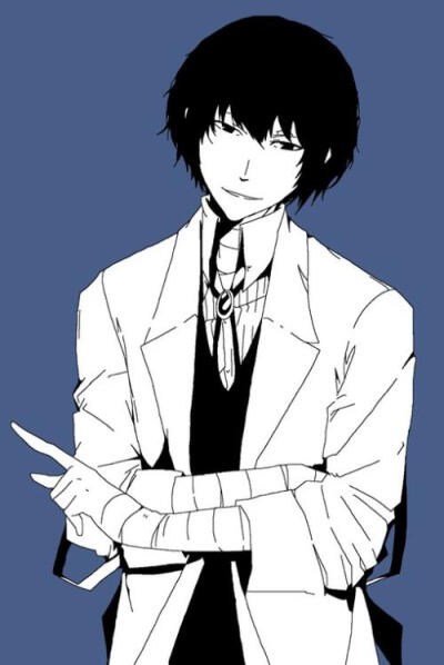 文豪野犬 ストレイドッグス 武装侦探社 太宰治 中岛敦 国木田独步