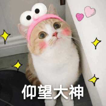 人间值得
