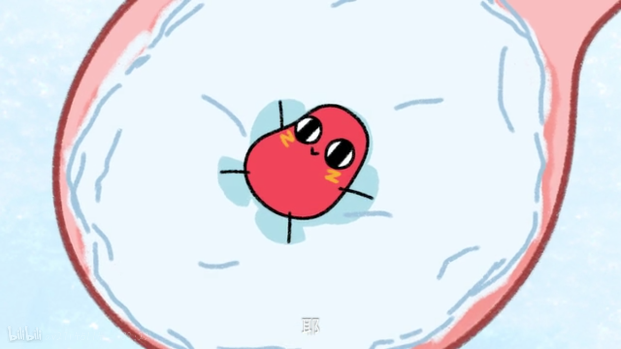 请吃红小豆吧!