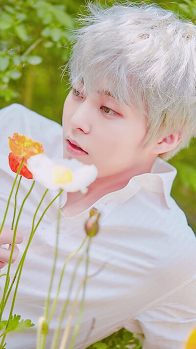 xiumin - 堆糖,美图壁纸兴趣社区