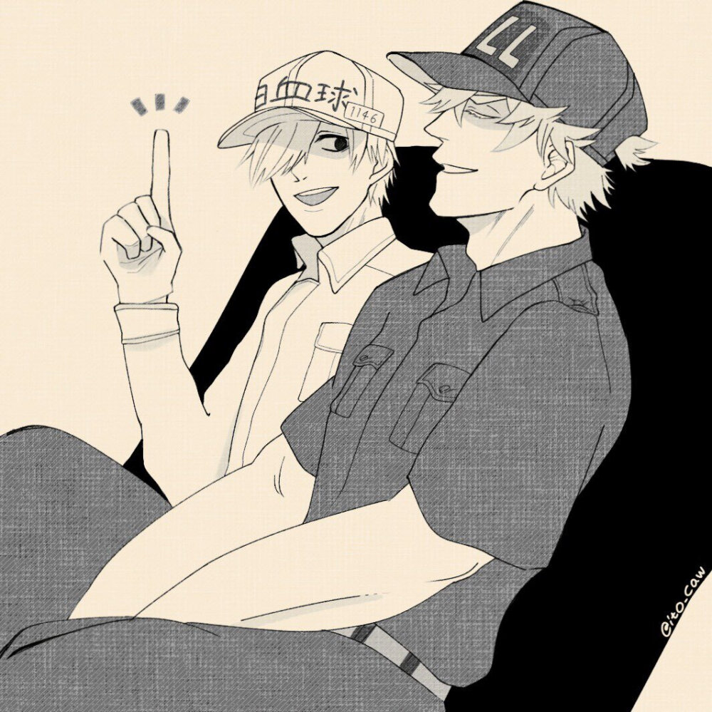 白血球与杀手t细胞