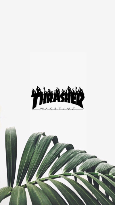 thrasher壁纸