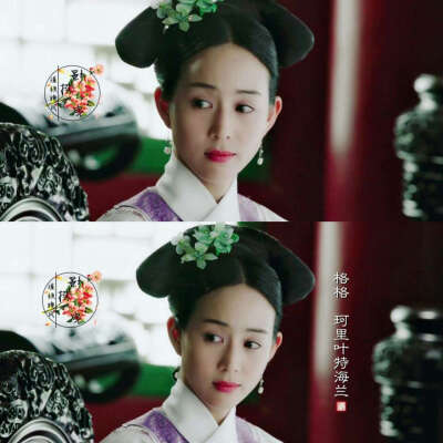 如懿传赵珂