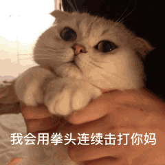 壁纸 动物 狗 狗狗 猫 猫咪 小猫 桌面 240_240 gif 动态图 动图