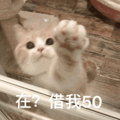 bobi波比