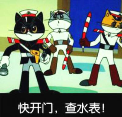 黑猫警长表情包
